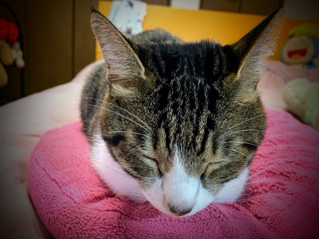 お手々ナイナイ