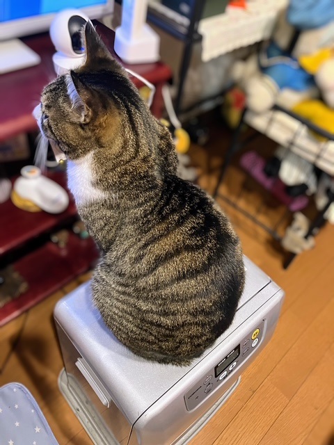 ストーブ呑太①