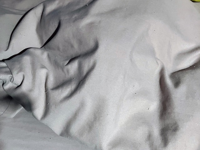 布団潜り呑太①