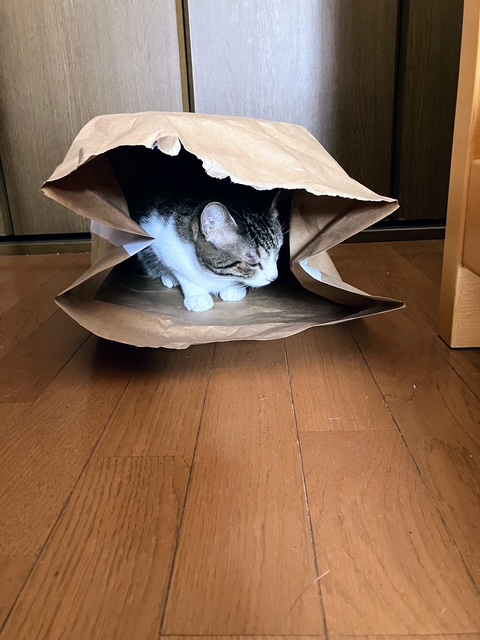 はず誕③