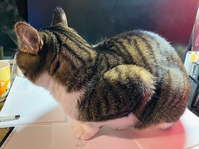 動かざる呑太③