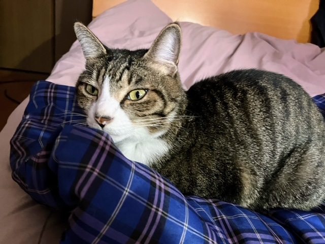 パパ半吞太2024②