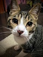 呑太写真ｻﾑ