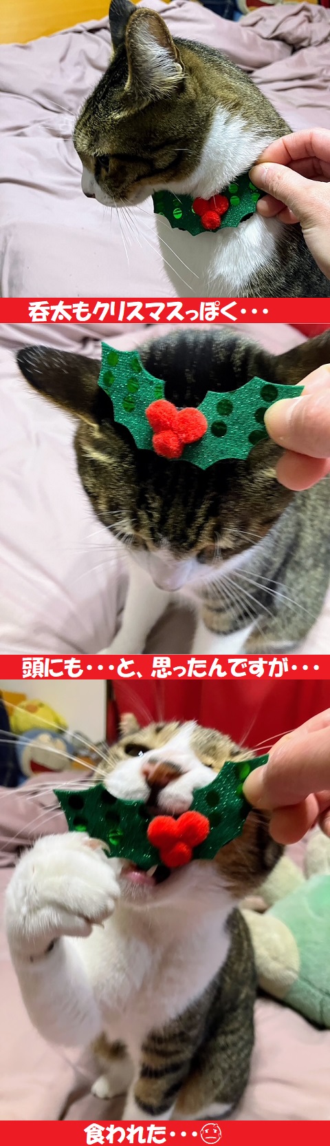 クリスマス2024③