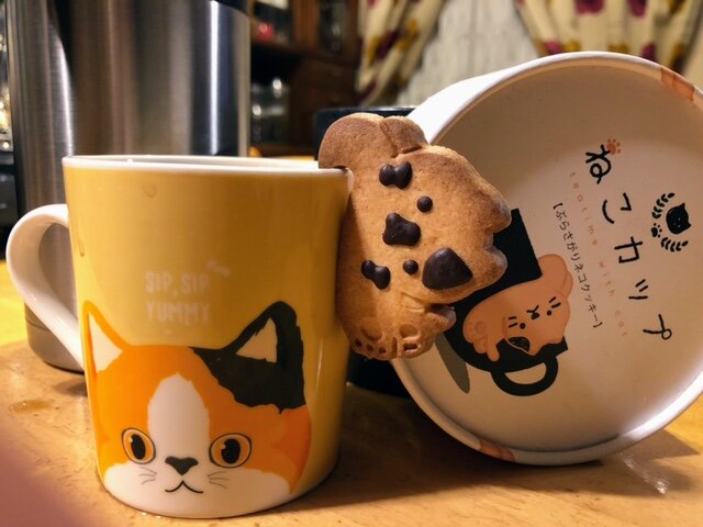 ABE5FA01-A3ED-457C-9866-48FFD8E43497