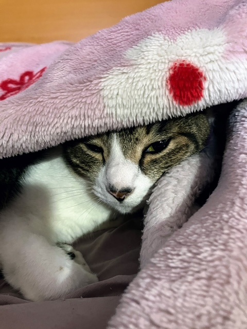 潜り呑太③