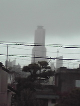 02cc006e.jpg