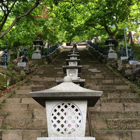 写真 2014-05-16 5 56 43