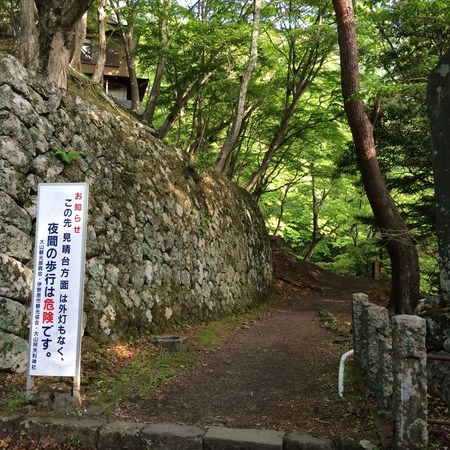 写真 2014-05-16 6 24 02