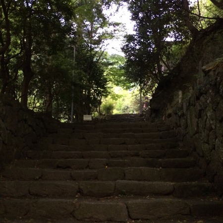 写真 2014-05-16 5 26 07