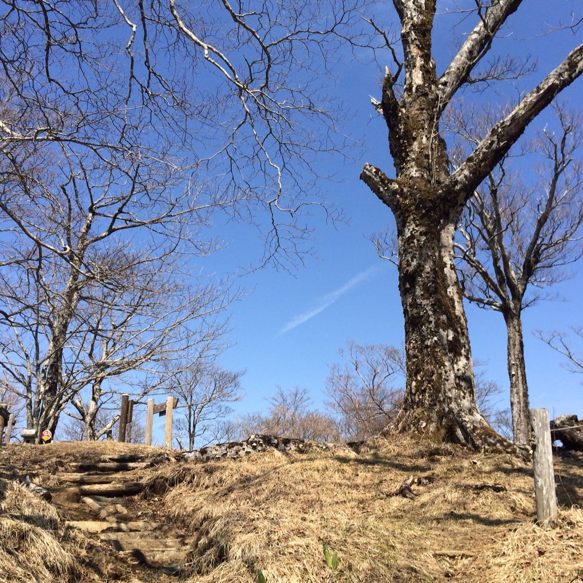 2014-04-25-09-00-31