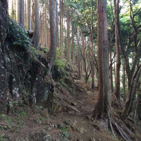 写真 2014-05-16 6 48 45