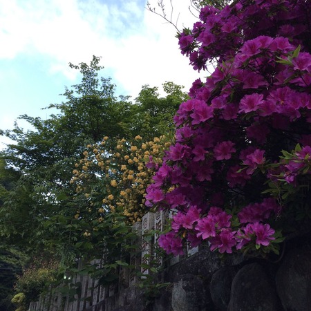 写真 2014-05-16 5 20 43