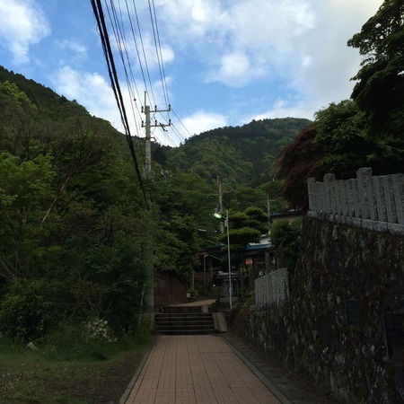 写真 2014-05-16 5 35 36