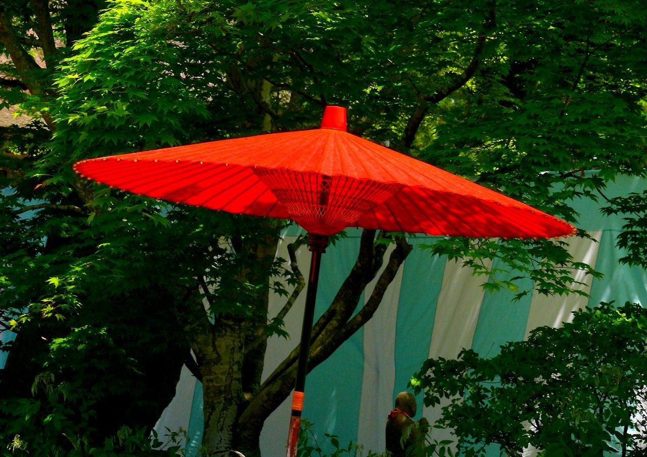 毛越寺 曲水の宴 ごくすいのえん ラベンダーの日記