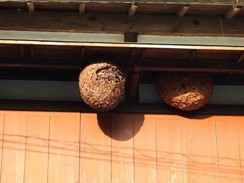 FD8FB2EE-E471-42FA-820A-E9407ADD700C