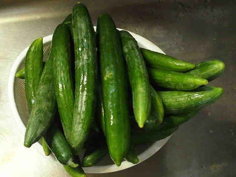 C2F494A4-D3BE-4EAB-9362-AD9ACABBA68C