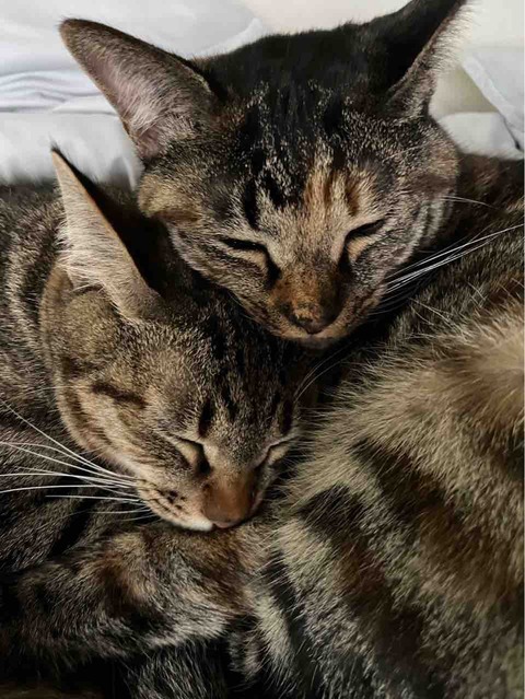 F98ABE11-7F76-4C74-8E57-1F67B2F63C59