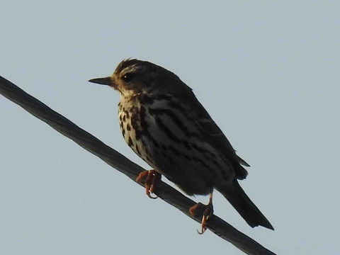 18665143-014E-42A4-8432-A1578860D500