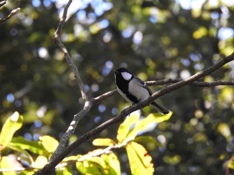 87C53899-E182-4078-8FF1-E134DE656F5B