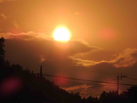 B01A31C9-62A2-4D4C-B427-831F4AFE3187