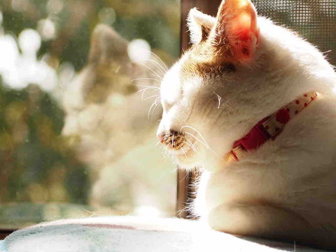 C1953FF1-E255-4FFE-8670-F9F9DF257034