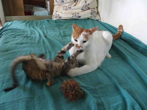 AFFE651C-BD69-4B12-9AB7-E18A136E919A