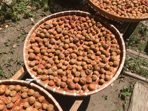 242587D5-D2BD-463E-9D29-74623ED18A0A