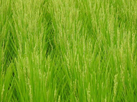 F054FBE9-8C17-4A29-9CBA-652429028548