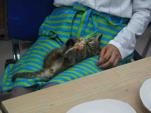 9BCD9A69-4DBD-41AB-A704-1C62F3C2D029