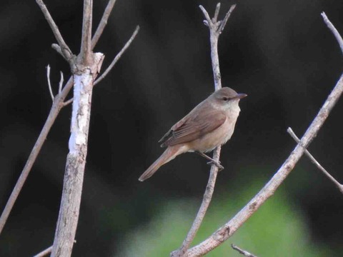 F957874B-4396-47D6-93B5-BA991AC256B0