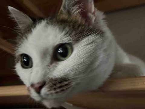 4AD49050-B0B5-41D0-A37A-5DC6202612CF