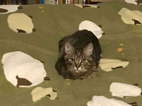 4D429F57-2EAF-41DF-9804-D483F17D981C