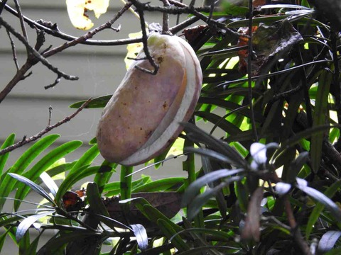 98A60FE1-CF44-433E-A5B8-689C66314A2A