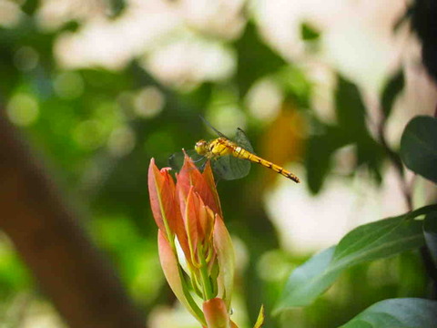 F19490E9-B603-4D27-81C0-0E4B6A575C08