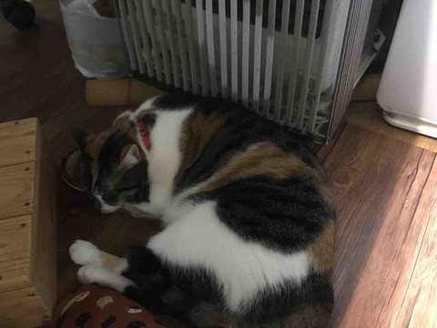 A902F4CE-8680-4162-9FA0-7EAC2703DE89