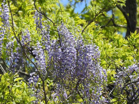 3922A81B-8355-42BB-9E8F-BDE3C2DD4DCA