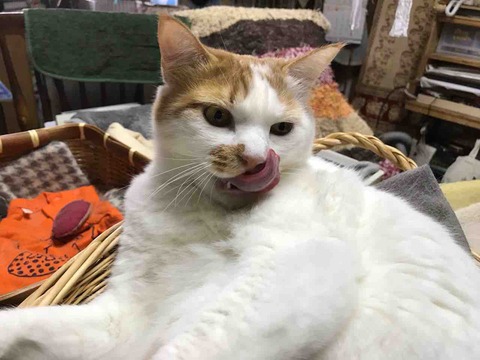 5F77BCAE-19D1-49DC-A5AB-13DEF407B5B9