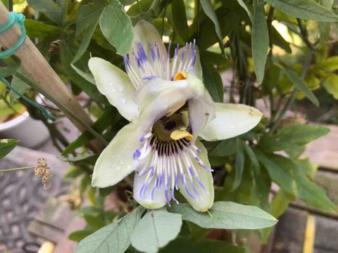 1DDE594A-1940-447A-90EA-CB9A04323D0B