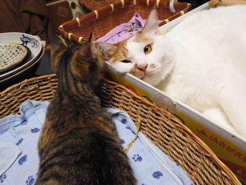 FC6AA0FA-1430-4C81-A551-7407ACE6F50D