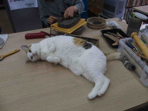 A73FFBB5-C472-4E50-A96E-83BE2BC0FE44