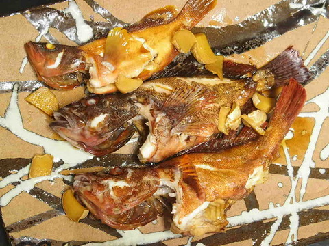 9907621C-68BC-49BB-AA29-919B601C257F