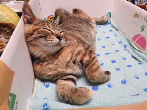 815A47F5-6E8B-4DE5-BFBA-10F13C60756B