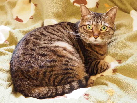 5C5FE960-CB6B-40AD-A170-DD8C6137C7BF