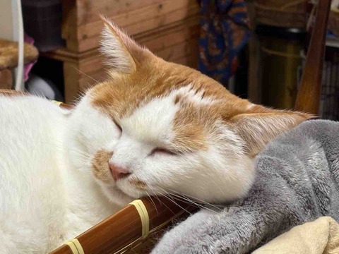 711AF174-0506-42E1-A0B3-3381248793E5