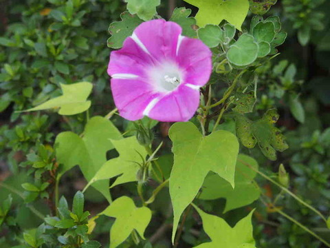 AAAF297E-2C59-4261-B326-F45639301E94