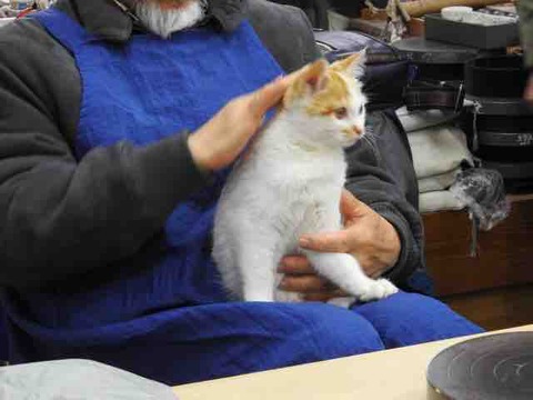 27F81D07-EAC9-42E2-A5A6-15C9632B25BE