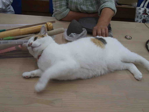 CB944C3E-33BD-4415-8141-0FE144FF59D1