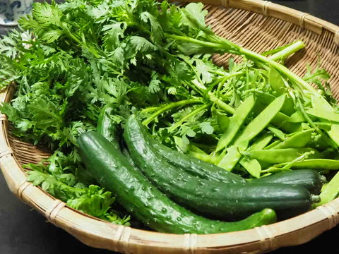 1E509843-6A7C-41A6-9B03-BD0C3F4BC571