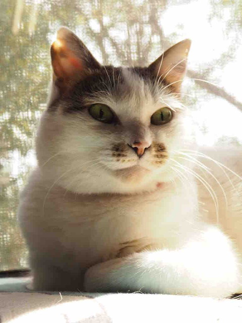 A286B2E4-12E9-4933-81D7-2AF2C31A3D02